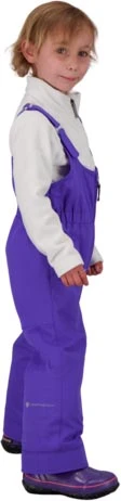 Obermeyer Snoverall Ski Pant - Image 3