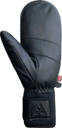 Auclair Lady Boss Ski Mitt - Womens