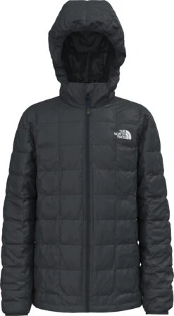 The North Face Thermoball Eco Hoodie - Boys 2022