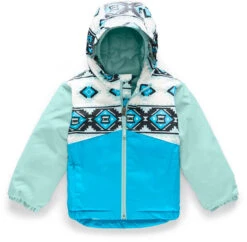 The North Face Snowquest Insulated Ski Jacket - Toddler 2020