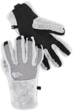 The North Face Denali Thermal Etip Ski Glove - Womens