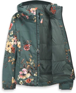 The North Face Descendit Ski Jacket - Womens