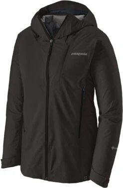 Patagonia Ascensionist Ski Jacket - Womens 2021